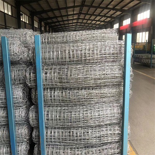 Galvanized Graticule Wire Mesh